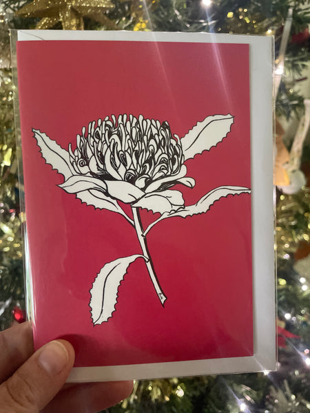 Australian native flower 4 card set. Acacia, Grevillea, Waratah and Banksia.