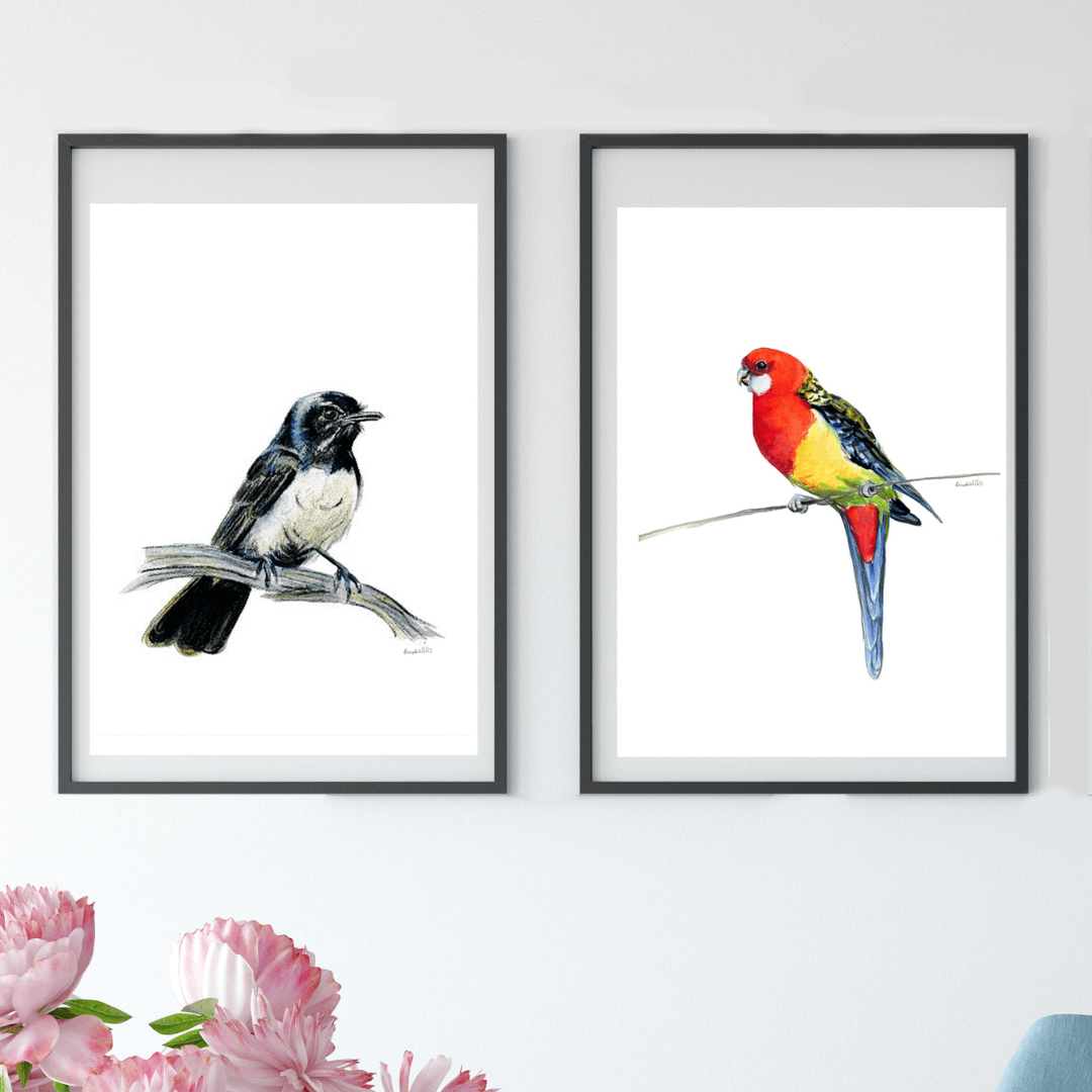 Australian native bird watercolour print set.