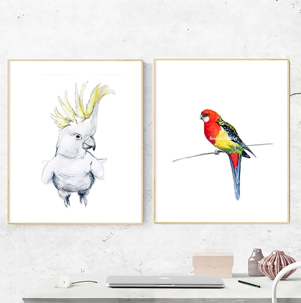 Australian native bird watercolour print set.