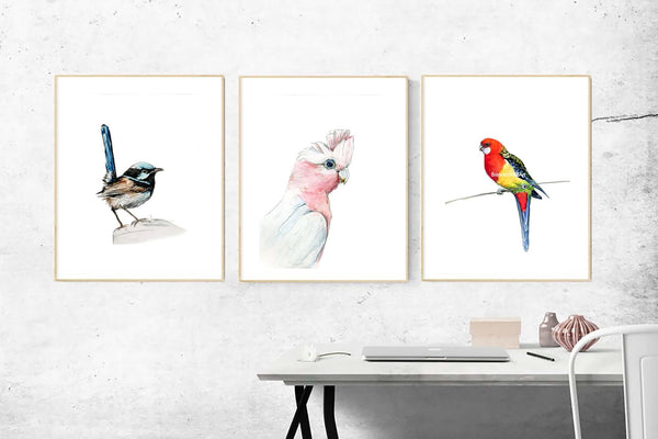 Australian native bird watercolour print set.