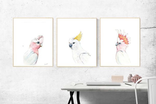 Australian native bird watercolour print set.