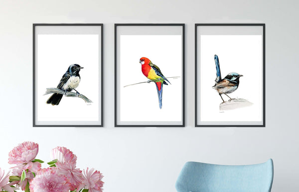 Australian native bird watercolour print set.