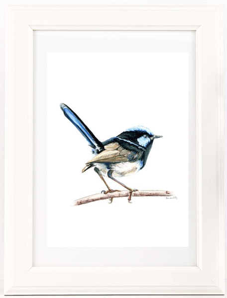 Australian native bird watercolour print set.