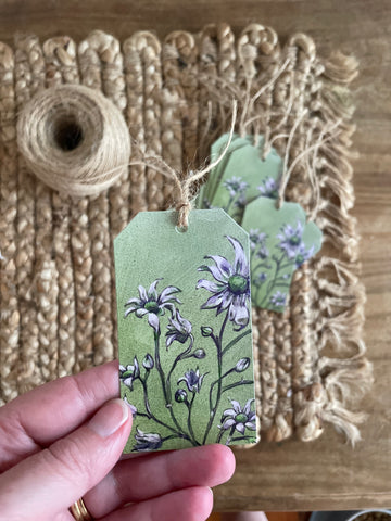 Green Australian Flannel Flower gift tags x10