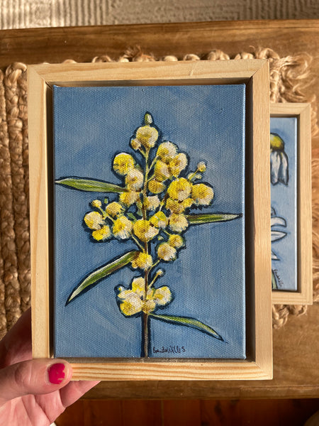 Australian Wattle mini framed acrylic painting