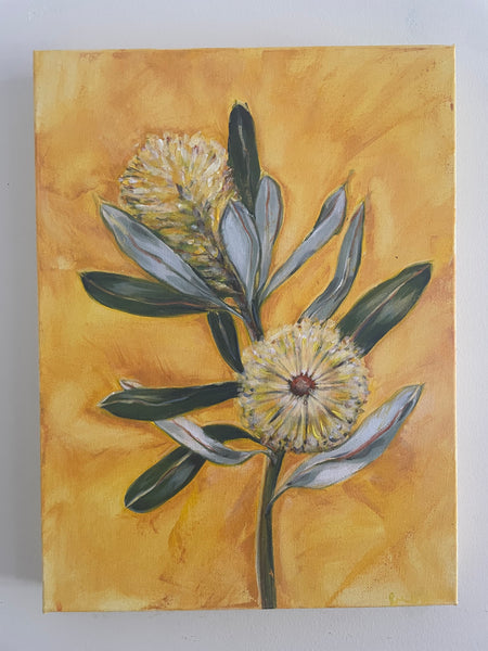 Australian Banksia 'Golden' acrylic canvas framed painting. 32.5cm x 42cm