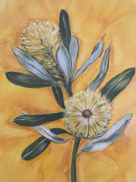 Australian Banksia 'Golden' acrylic canvas framed painting. 32.5cm x 42cm