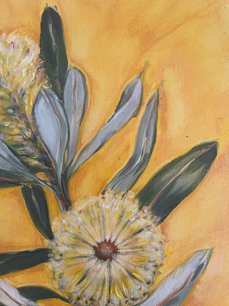 Australian Banksia 'Golden' acrylic canvas framed painting. 32.5cm x 42cm