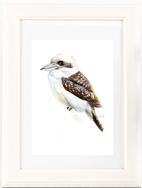 Australian native bird watercolour print set.