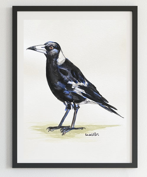 Original Watercolour Australian Magpie artwork.