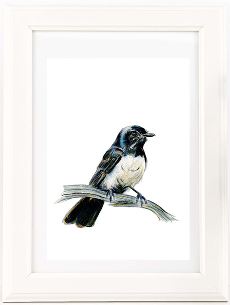 Australian native bird watercolour print set.