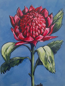 Australian Waratah acrylic framed canvas painting. 32.5cm x 42cm