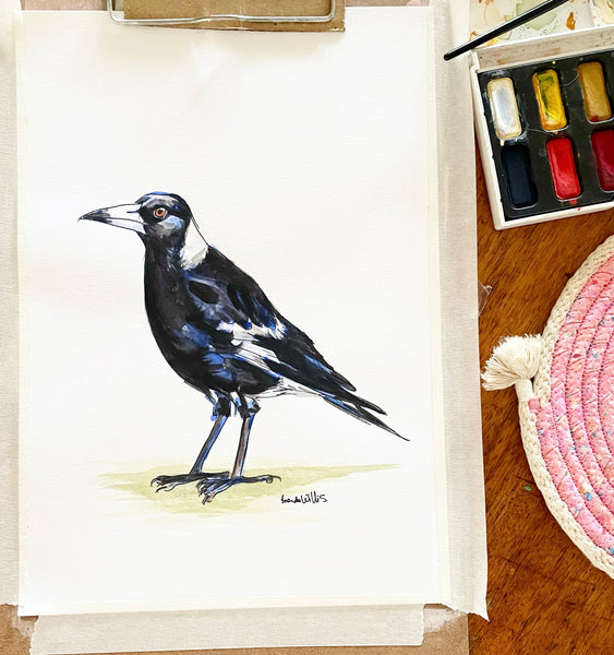 Original Watercolour Australian Magpie artwork.