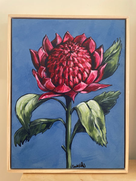 Australian Waratah acrylic framed canvas painting. 32.5cm x 42cm