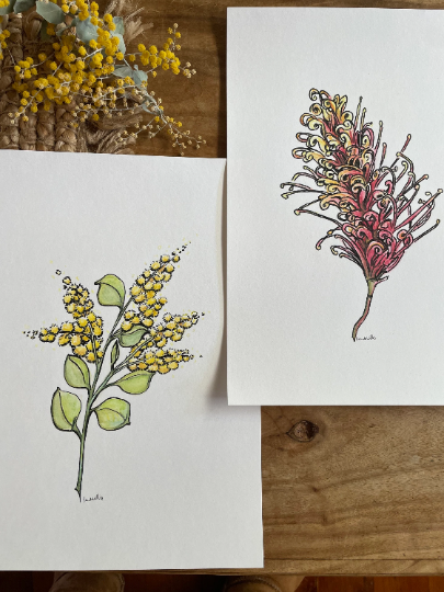 Original Australian Grevillea painting. Watercolour pencil on art print