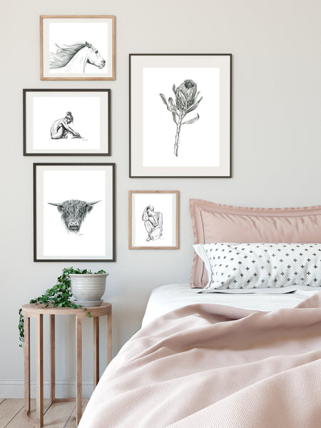 Original Pink Ice Protea graphite artwork print. Large native flora pencil sketch