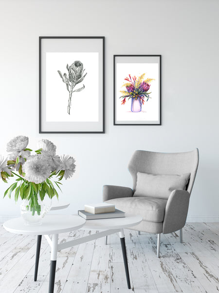 Original Pink Ice Protea graphite artwork print. Large native flora pencil sketch