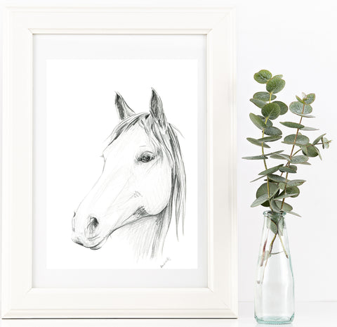 Hand drawn 'Chester' Horse portrait drawing print. Black and White pencil sketch horse lover art.