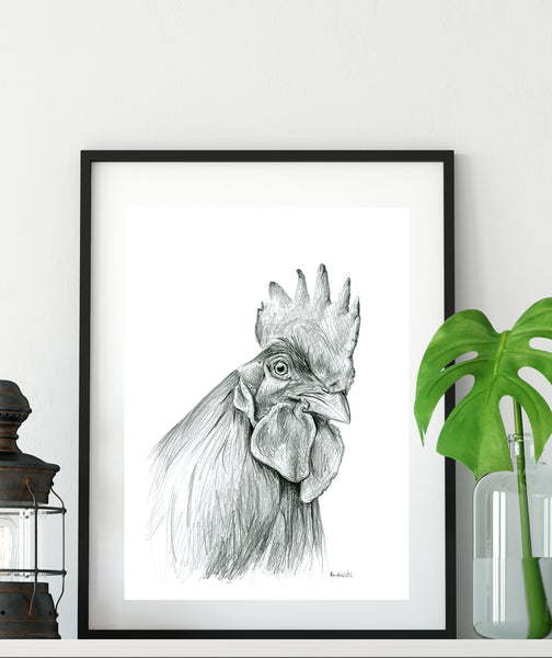 Graphite Rooster chicken drawing print