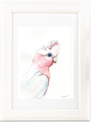 Australian pink Galah watercolour art print.