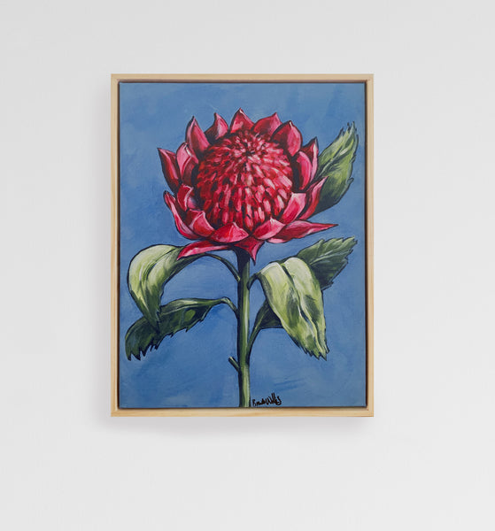 Australian Waratah acrylic framed canvas painting. 32.5cm x 42cm